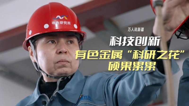 数据安全隐私计算公司：守护数据世界的守门人